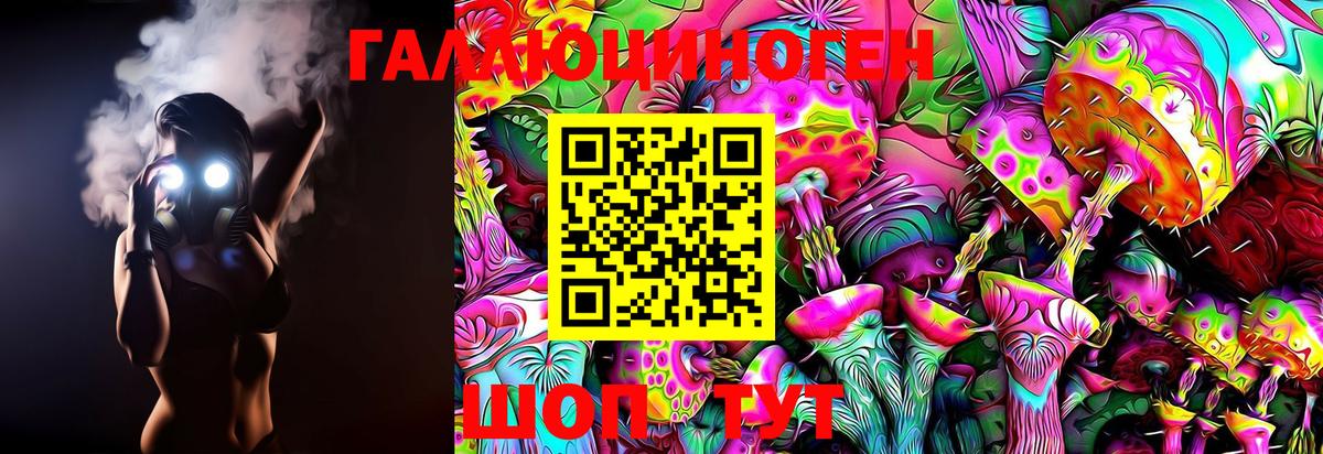 Галлюциногенные грибы ЛСД Гусиноозёрск