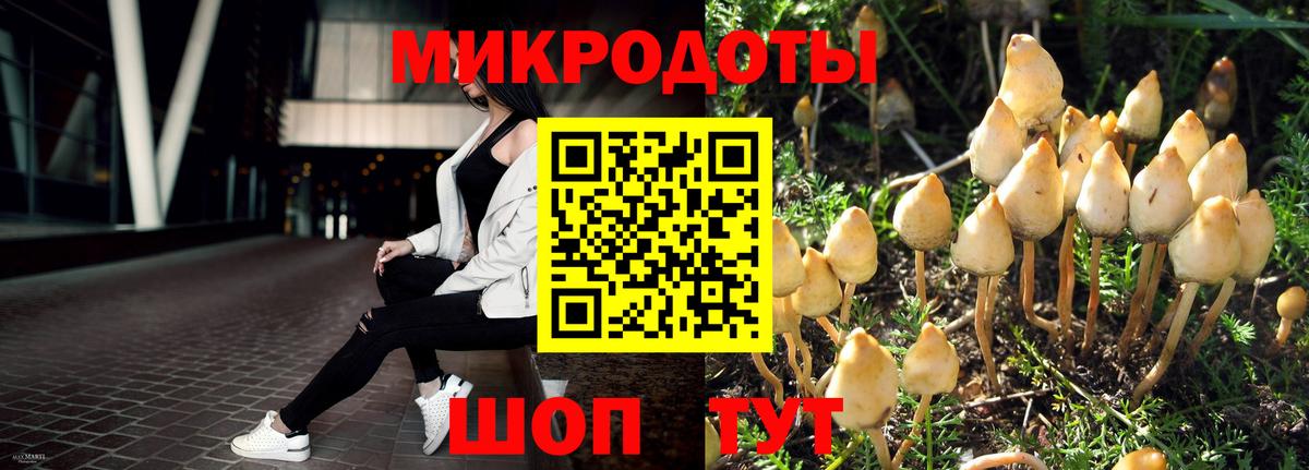 Гусиноозёрск  Псилоцибиновые грибы ЛСД  Вход с VPN 