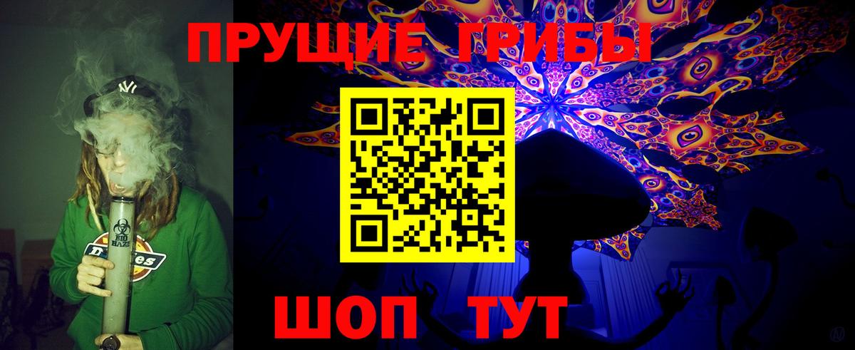 Галлюциногенные грибы Cubensis Гусиноозёрск